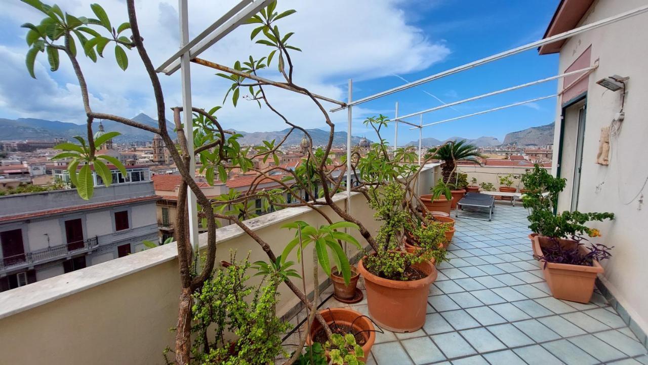 Settimocielo * Palermo